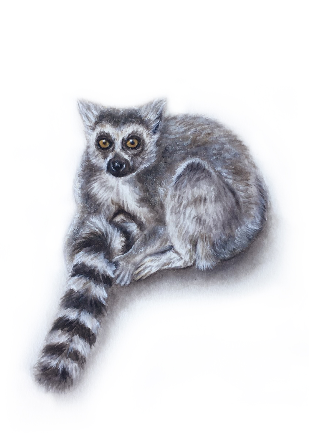 lemur figure